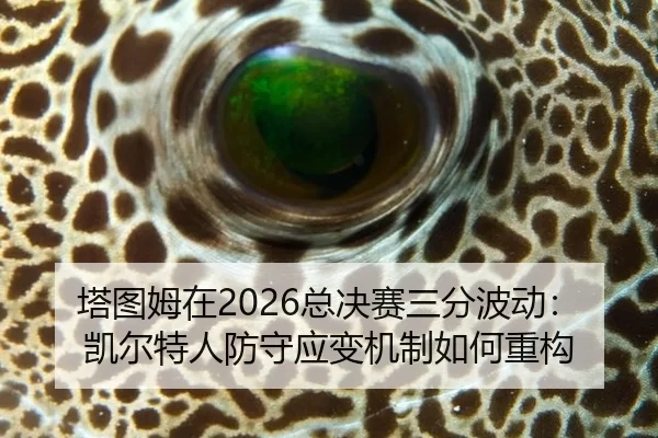 塔图姆在2026总决赛三分波动：凯尔特人防守应变机制如何重构
